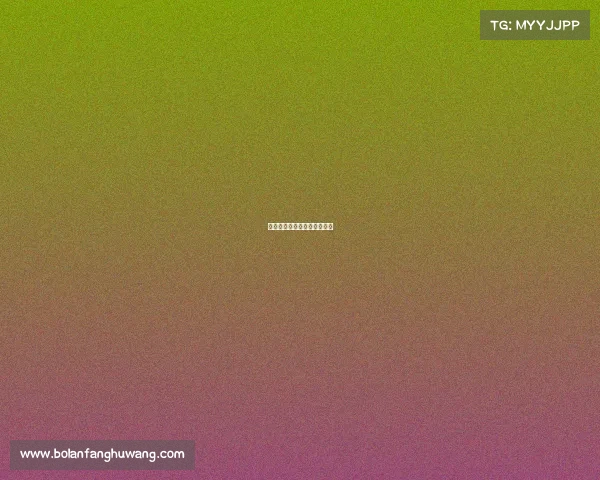 赛事执行号码—赛事查询网站